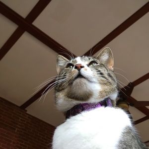 Meet your Posher, Martha